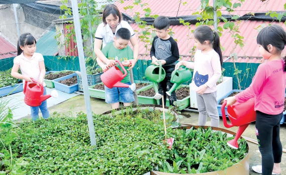 Trường mầm non Nghi Hương xây dựng thành công mô hình Vườn rau sạch cho bé Trang thông tin điện tử thị xã Cửa Lò #12 Trường mầm non Nghi Hương xây dựng thành công mô hình Vườn rau sạch cho bé Trang thông tin điện tử thị xã Cửa Lò